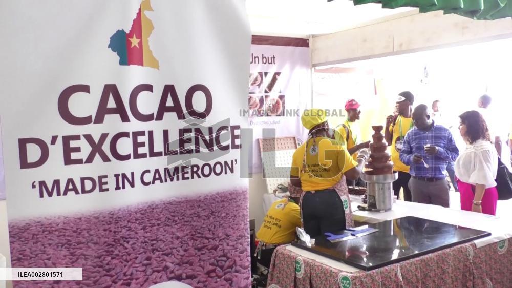First edition of cacao, coffee festival held in Cameroon
