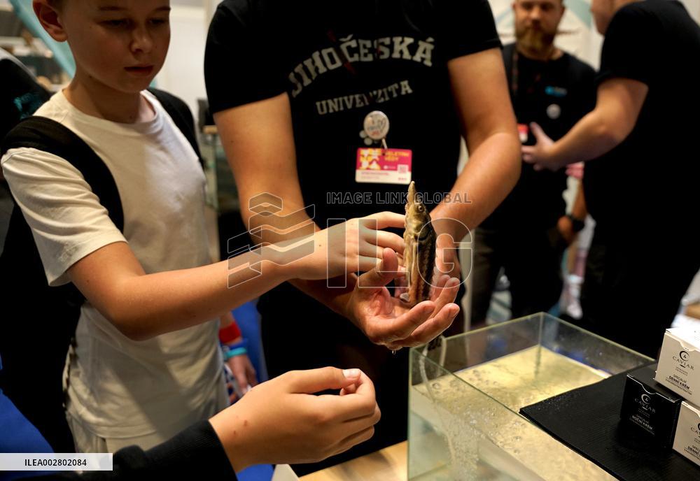 CZECH REPUBLIC-PRAGUE-SCIENCE FAIR