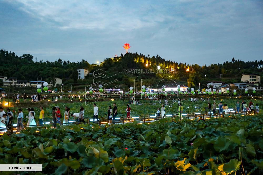 Lotus Pond Tour in Huaying