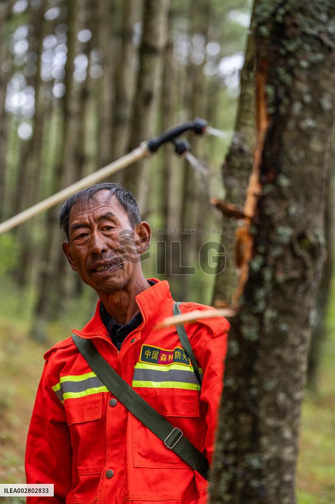 Forest Patrol in Bijie