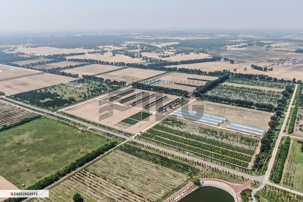 ChineseToday | Ecological researcher dedicates himself to desertification control in northeast China's Liaoning