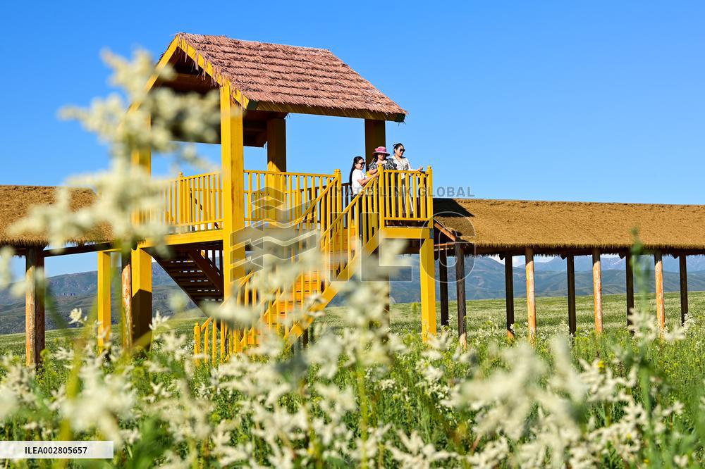 CHINA-XINJIANG-EMIN-RURAL TOURISM-DEVELOPMENT (CN)