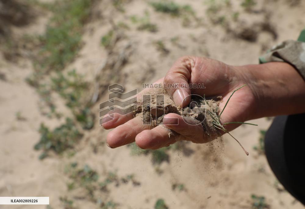 ChineseToday | A ranger guards forest for 37 years in NE China's Liaoning