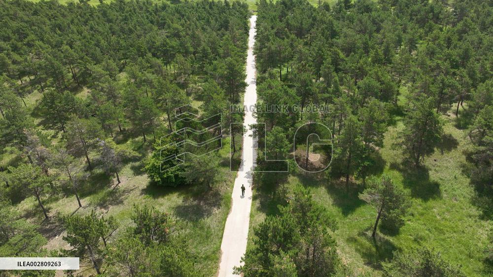 ChineseToday | A ranger guards forest for 37 years in NE China's Liaoning