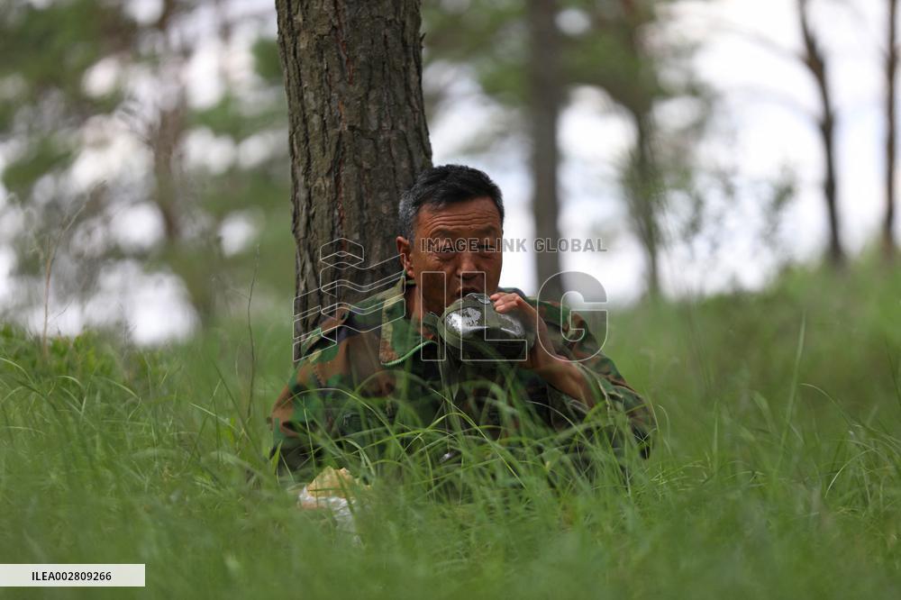 ChineseToday | A ranger guards forest for 37 years in NE China's Liaoning