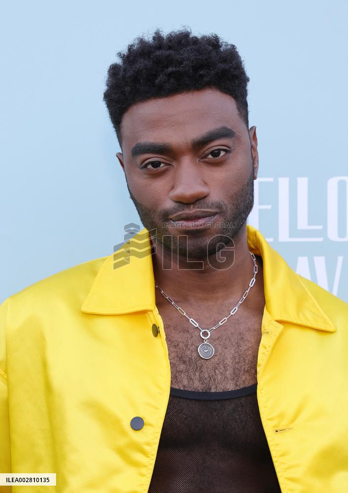 For Your Consideration red carpet Showtime's Fellow Travelers - LA