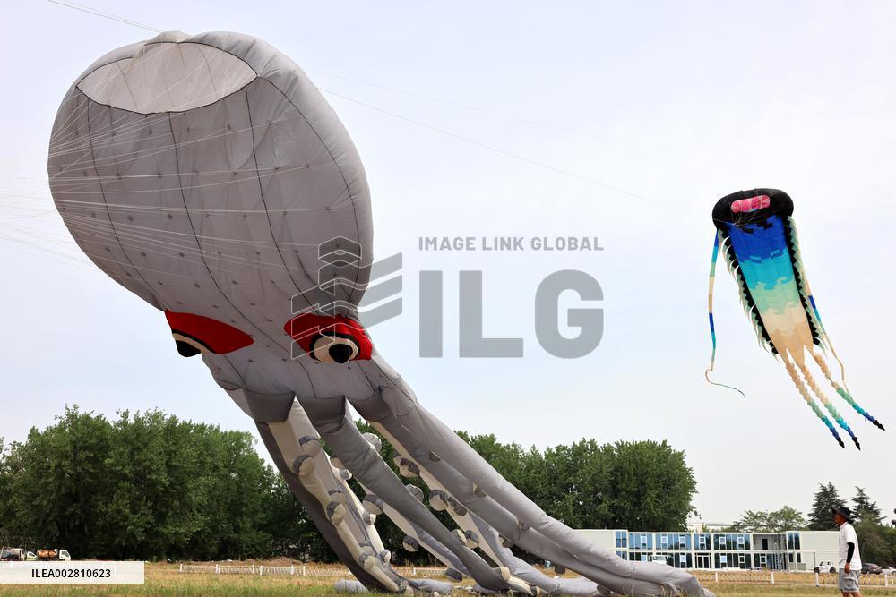 First Shandong Provincial Open Kite Competition in Zaozhuang