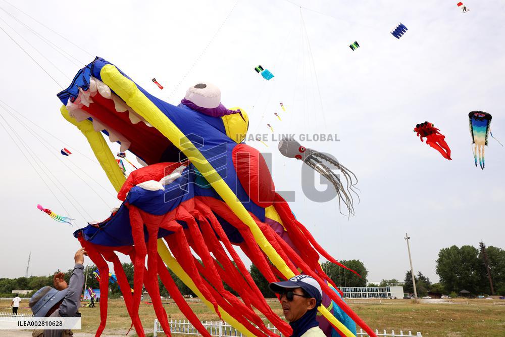 First Shandong Provincial Open Kite Competition in Zaozhuang
