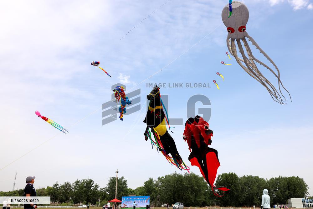 First Shandong Provincial Open Kite Competition in Zaozhuang