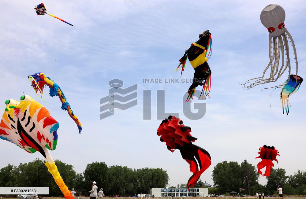 First Shandong Provincial Open Kite Competition in Zaozhuang