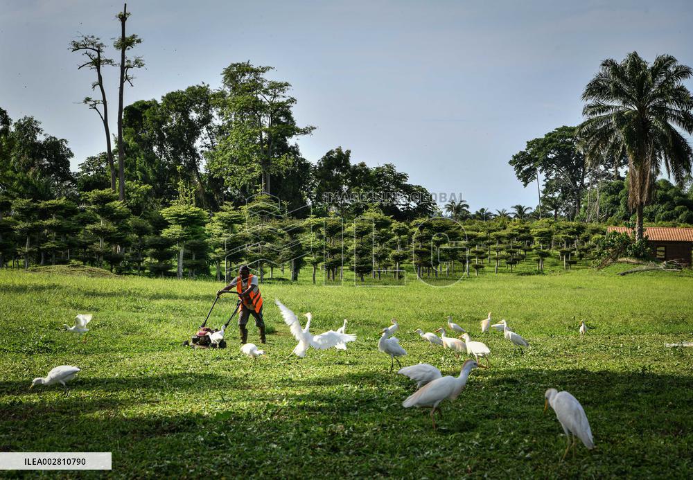 EQUATORIAL GUINEA-MALABO-NATIONAL PARK