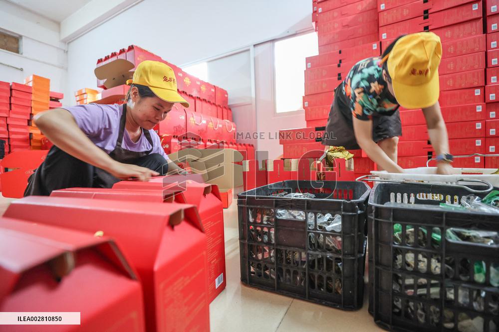 (HainanOutlook)CHINA-HAINAN-DING'AN-ZONGZI-RURAL REVITALIZATION (CN)