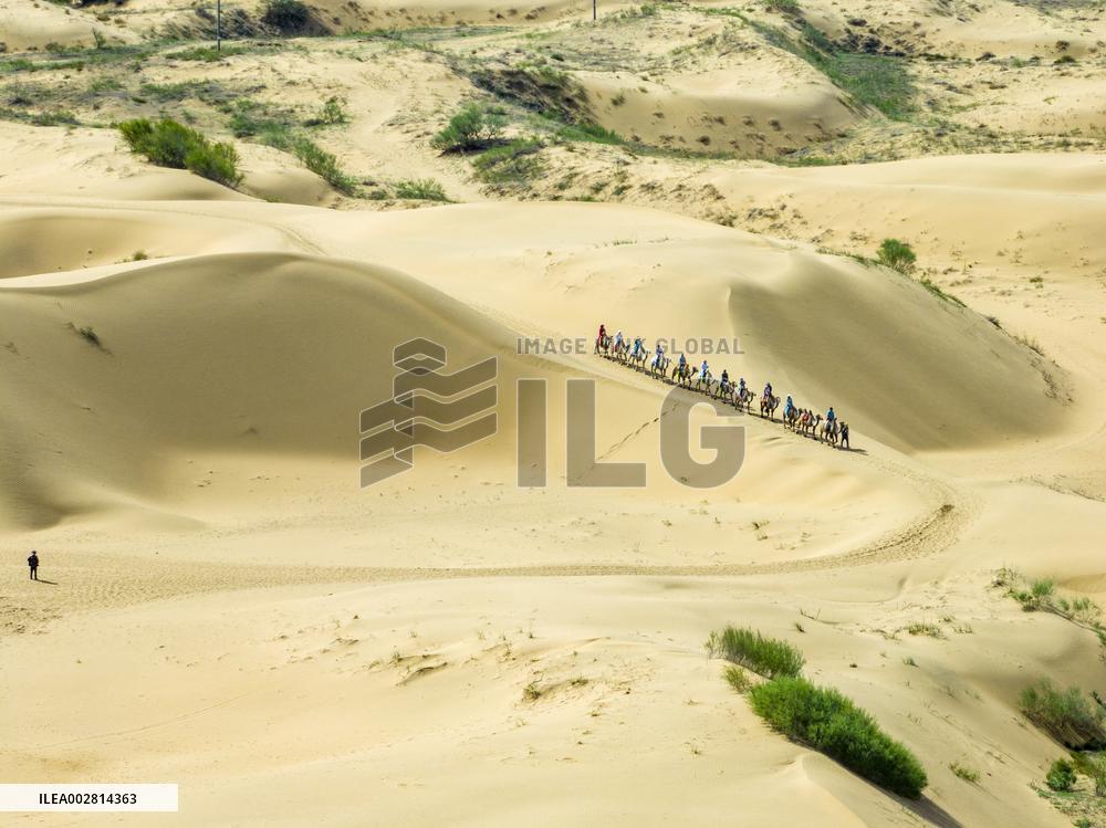 Kubuqi Desert in Ordos