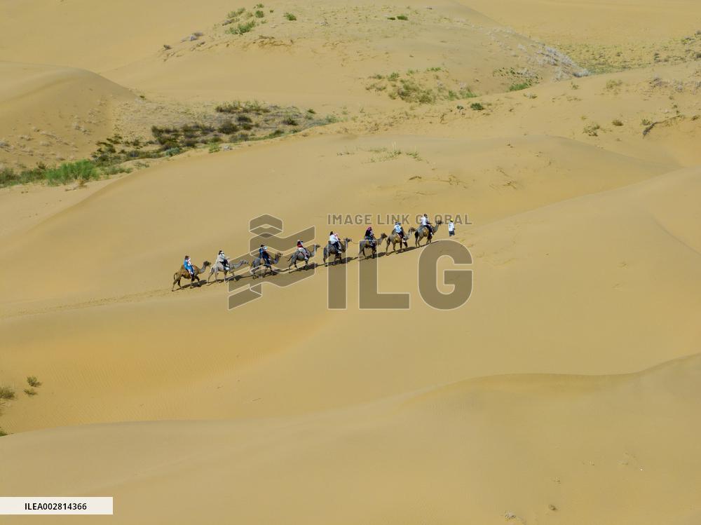 Kubuqi Desert in Ordos