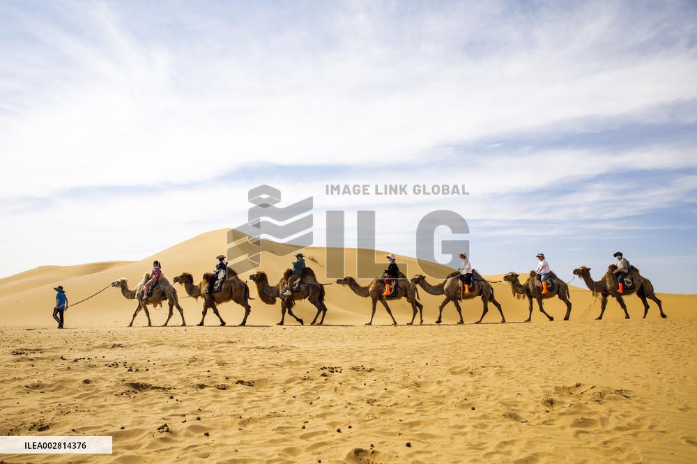 Kubuqi Desert in Ordos
