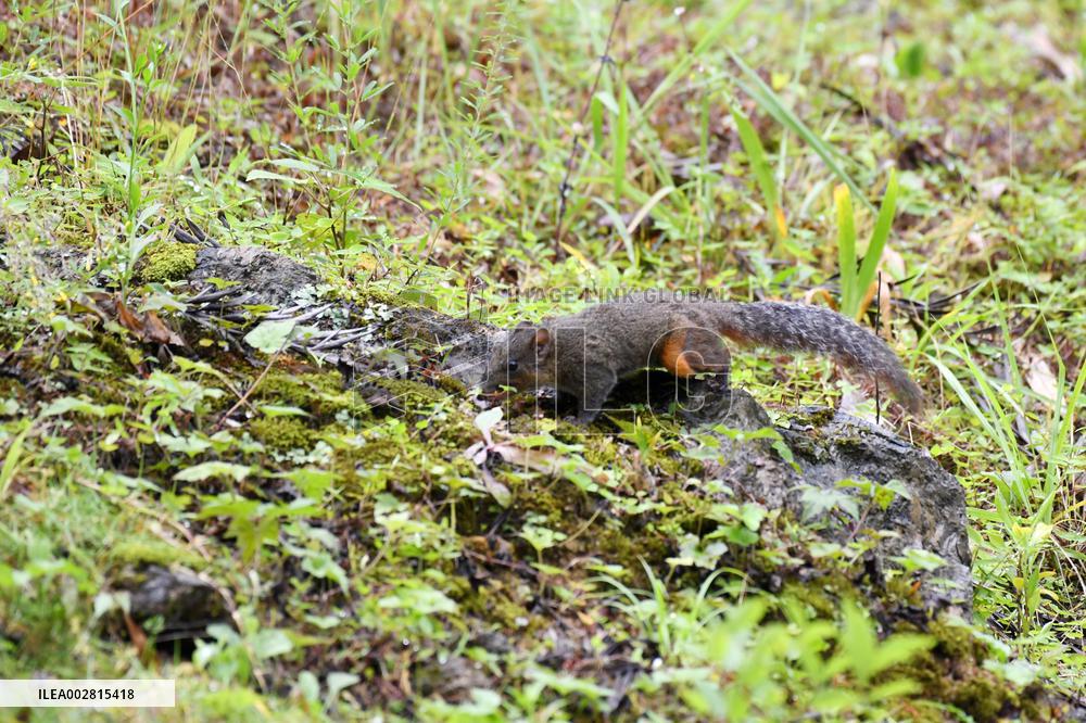 World Environment Day