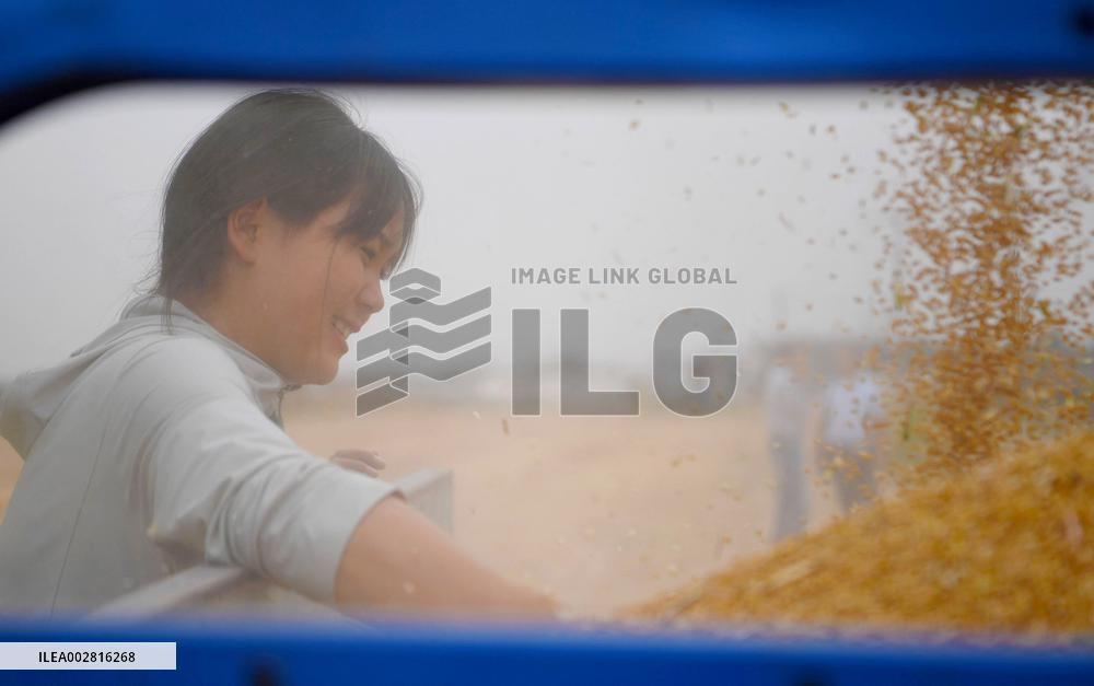 (HenanPixels)CHINA-HENAN-WHEAT HARVEST-DU MENGYUAN (CN)
