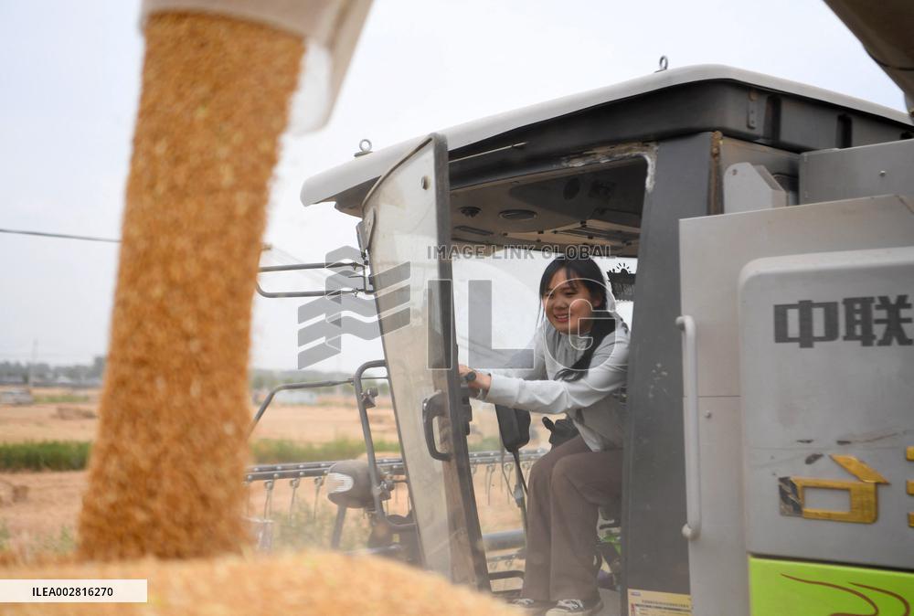 (HenanPixels)CHINA-HENAN-WHEAT HARVEST-DU MENGYUAN (CN)