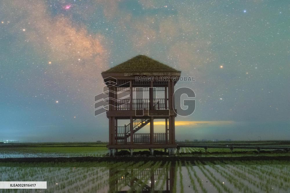 #CHINA-HEILONGJIANG-PADDY FIELDS-NIGHT VIEW (CN)