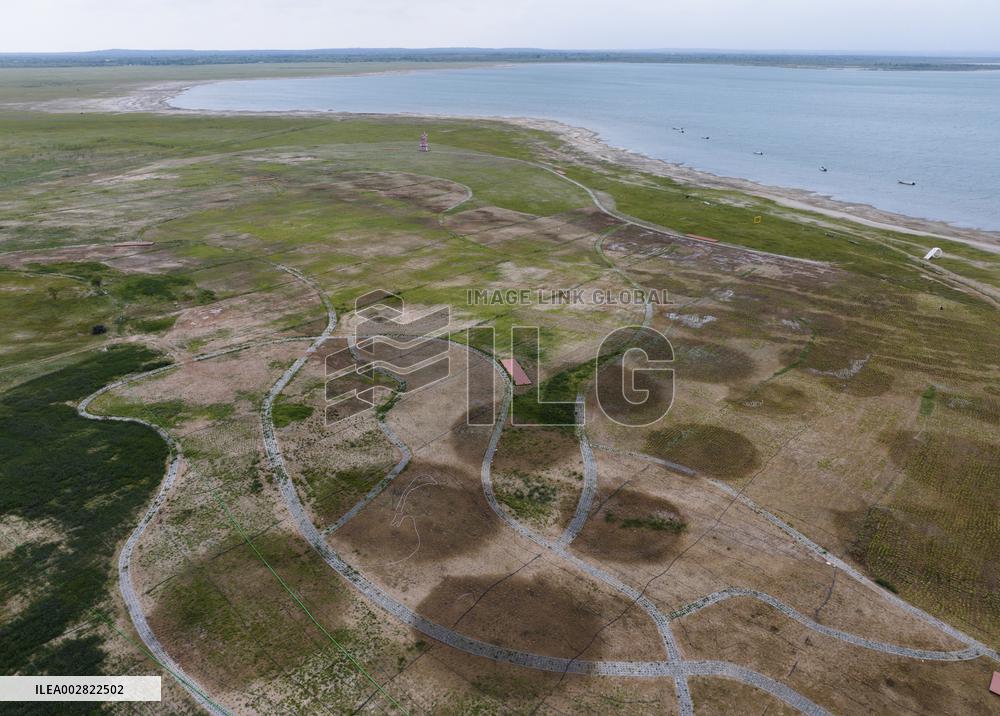 CHINA-SHAANXI-HONGJIANNAO-RELICT GULLS (CN)