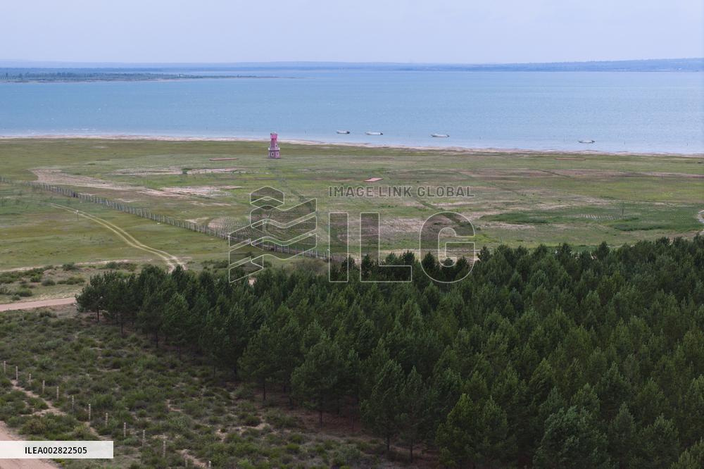 CHINA-SHAANXI-HONGJIANNAO-RELICT GULLS (CN)