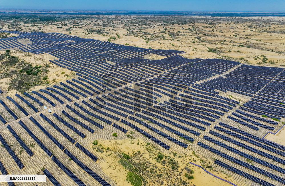 Xinhua Headlines: Innovation fortifies China's "green Great Wall" against desertification