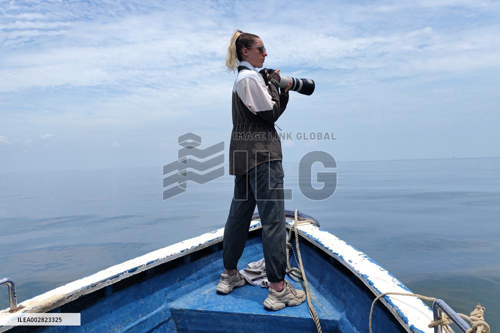 HainanOutlook | A deep bond between a French scientist and Chinese white dolphins