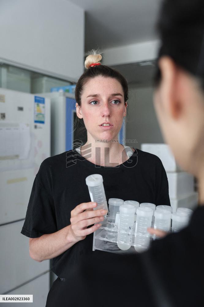 HainanOutlook | A deep bond between a French scientist and Chinese white dolphins