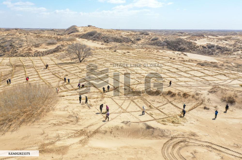 Xinhua Headlines: Innovation fortifies China's "green Great Wall" against desertification