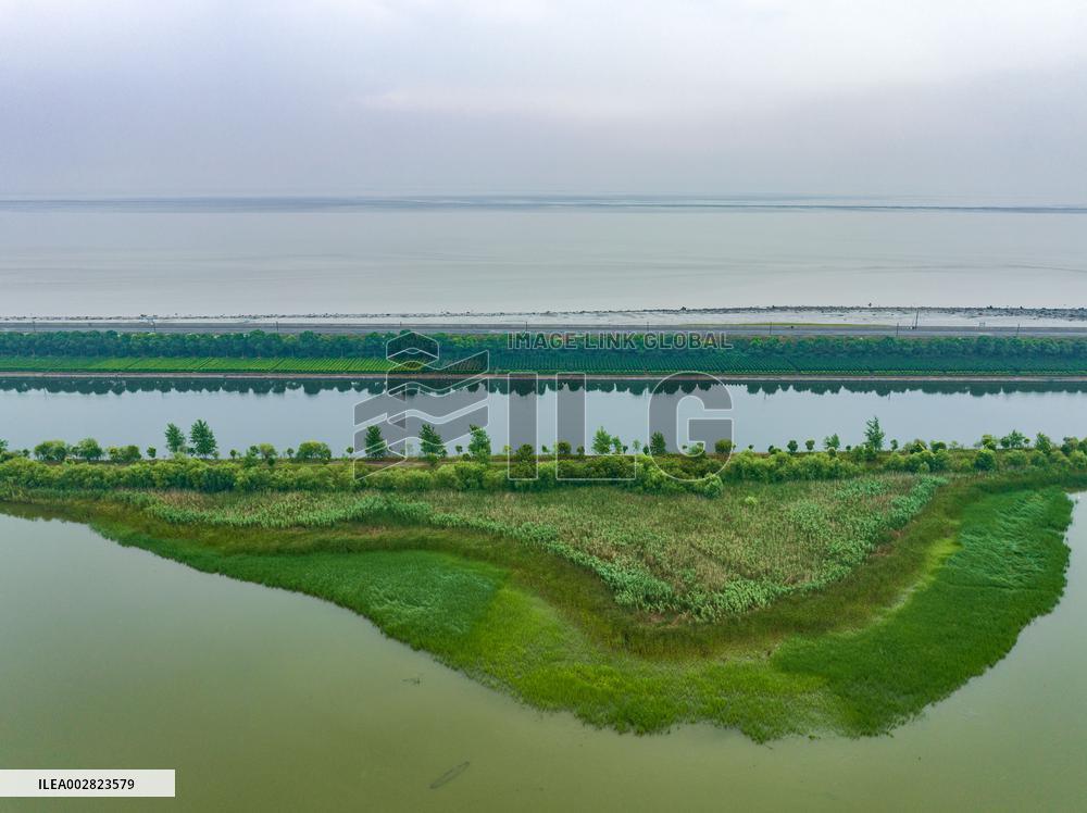 CHINA-HANGZHOU-TIDAL FLAT WETLAND (CN)