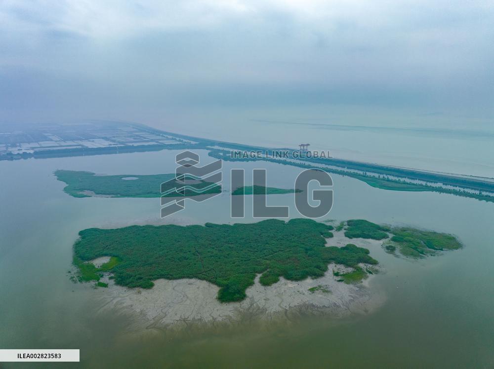 CHINA-HANGZHOU-TIDAL FLAT WETLAND (CN)