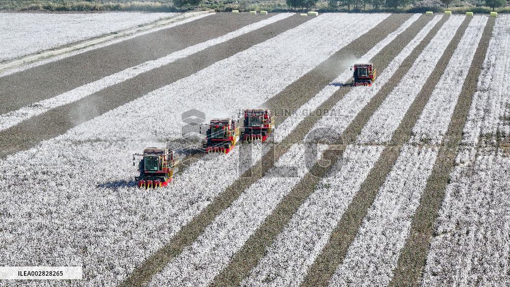 Xinhua Headlines: "Forced labor" lies bring "forced unemployment" in Xinjiang