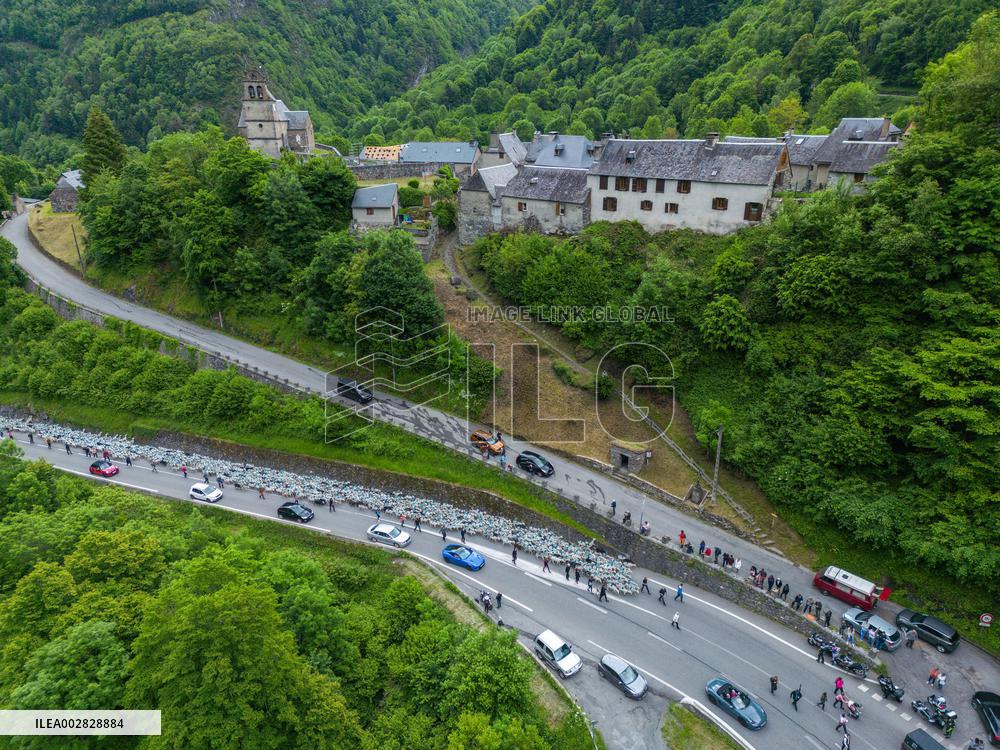 Traditional Annual Transhumance - Pyrenees