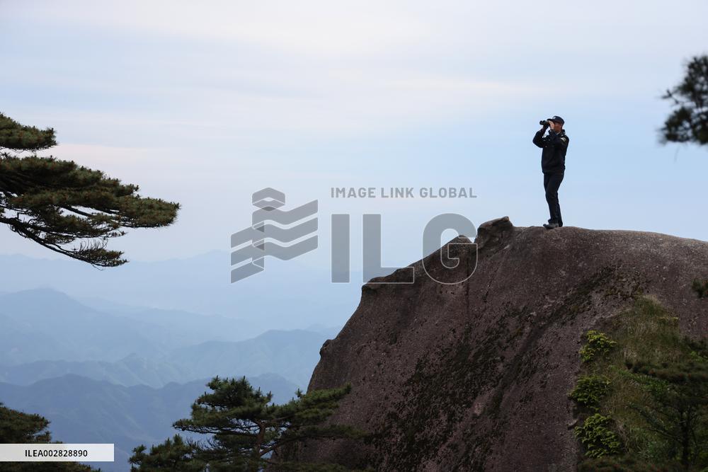 ChineseToday | CHINA-ANHUI-HUANGSHAN MOUNTAIN-GREETING PINE-GUARDIAN (CN)