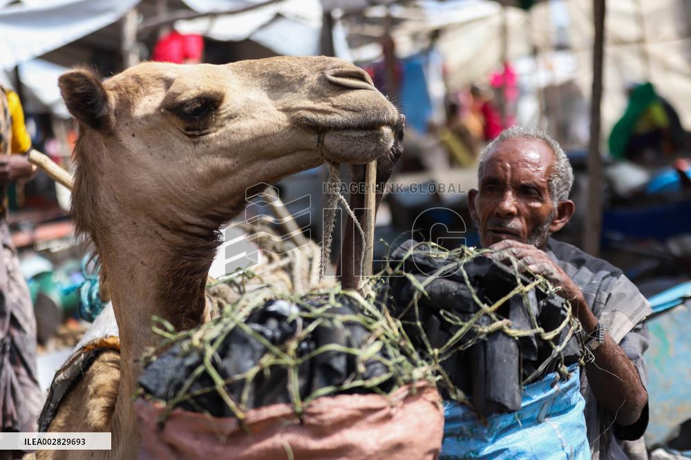 ETHIOPIA-BATI-MARKET