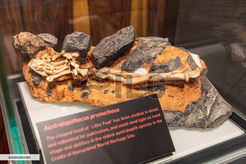 SOUTH AFRICA-GAUTENG-"CRADLE OF HUMANKIND"