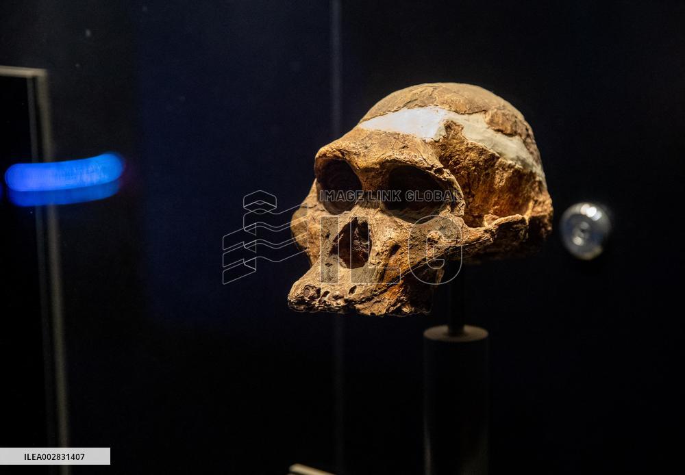 SOUTH AFRICA-GAUTENG-"CRADLE OF HUMANKIND"