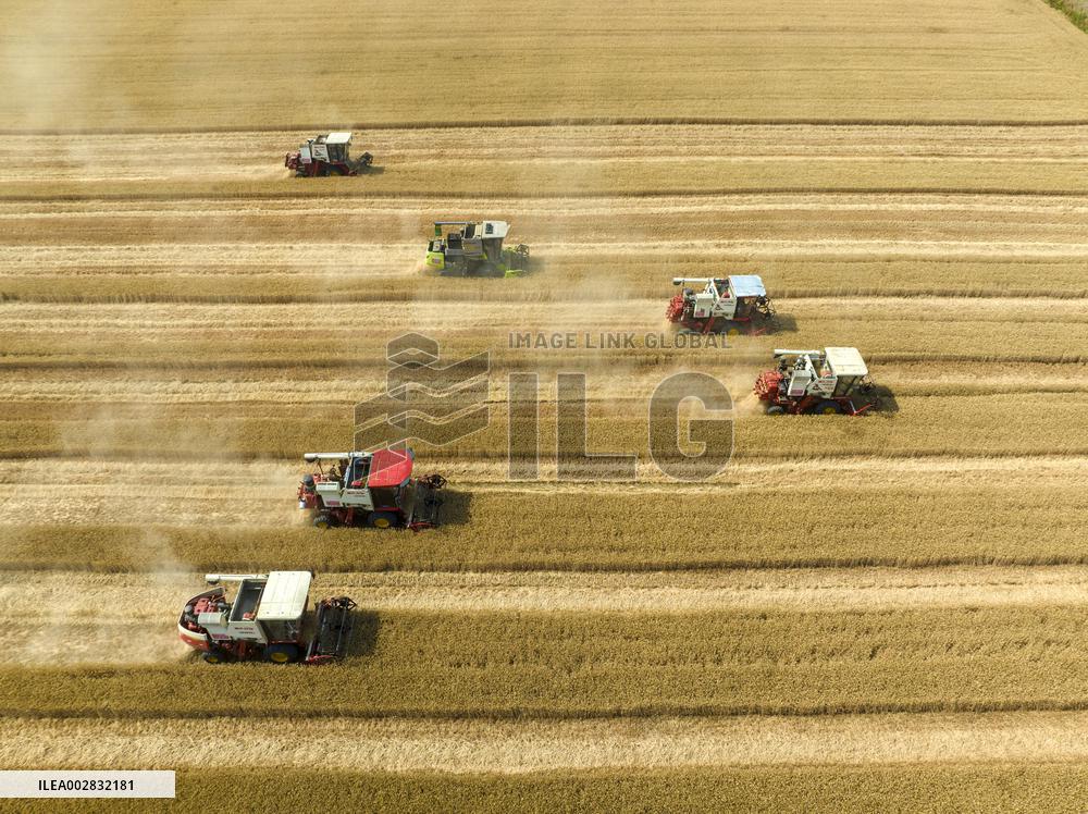 A Harvest Competition in Lianyungang