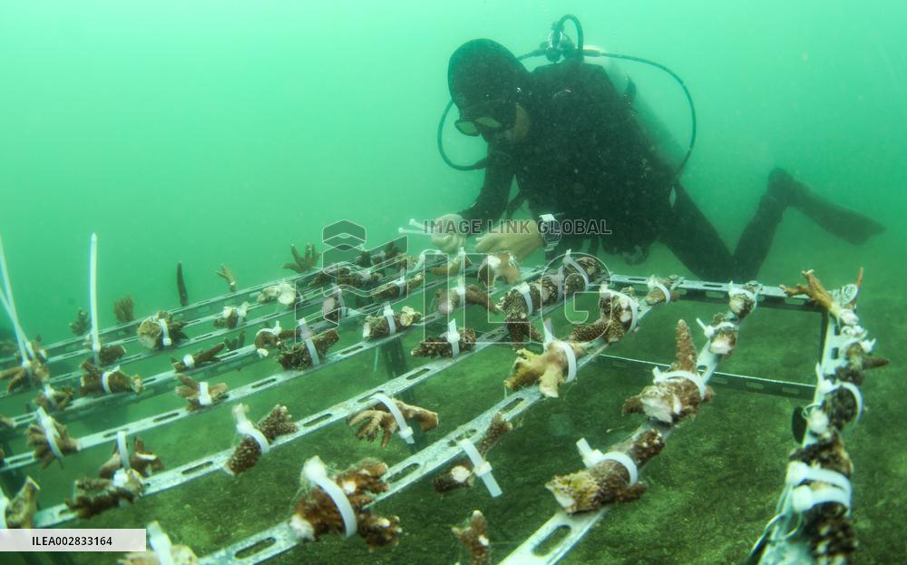 CHINA-HAINAN-FENJIEZHOU ISLAND-MARINE ENVIRONMENT (CN)