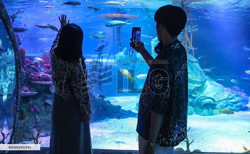 Shenyang Aquariums - China