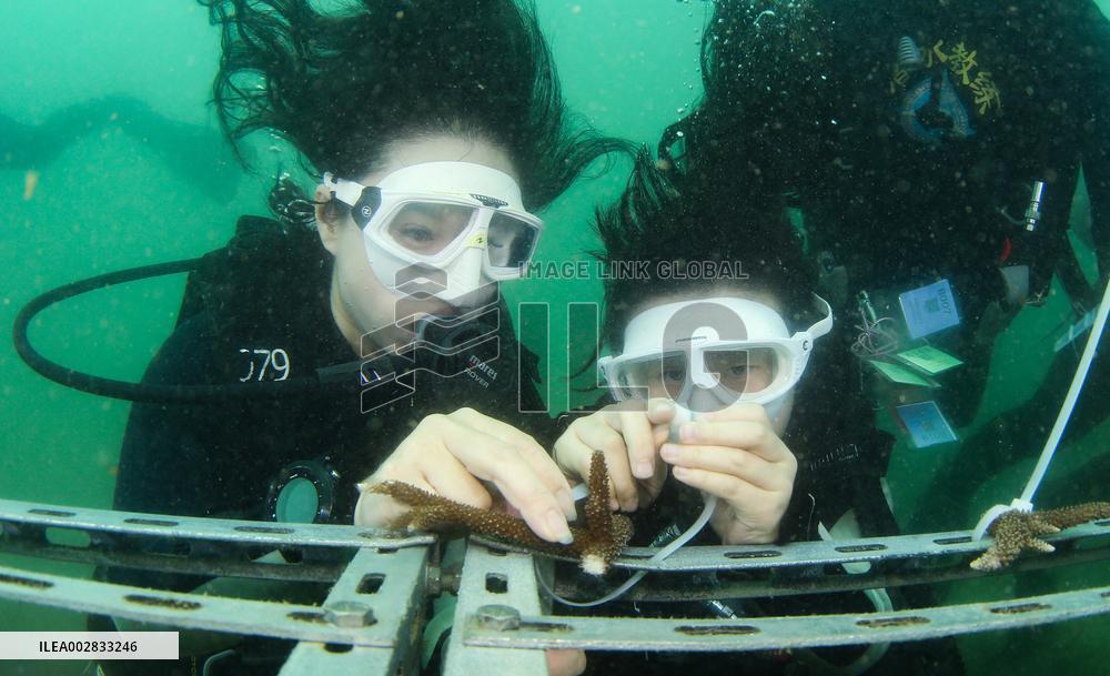 CHINA-HAINAN-FENJIEZHOU ISLAND-MARINE ENVIRONMENT (CN)