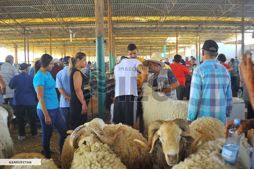 TUNISIA-TUNIS-EID AL-ADHA-PREPARATION
