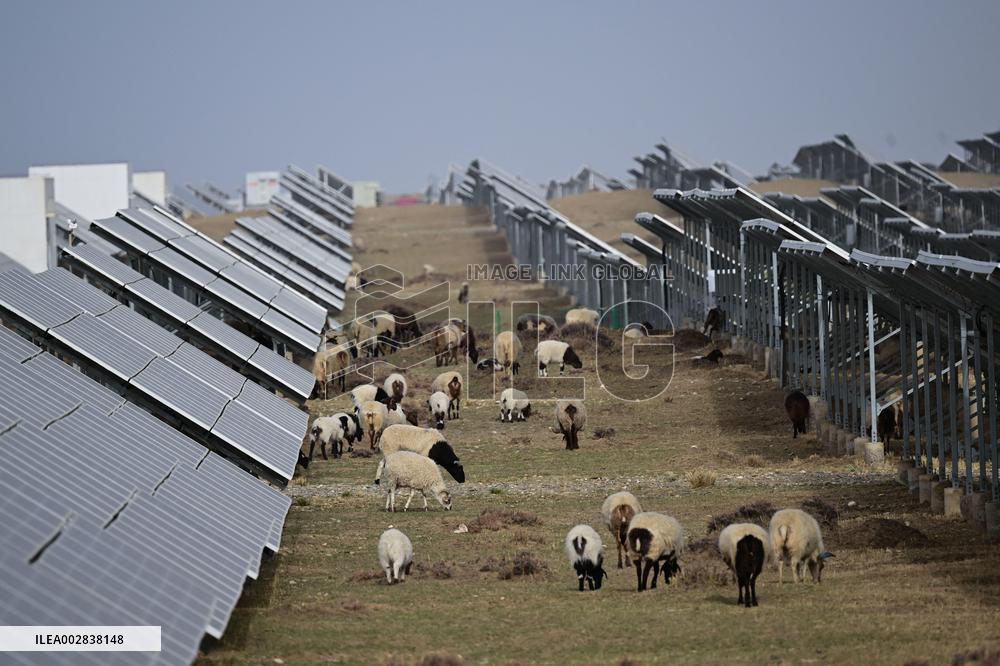 Xinhua Headlines: Solar power farms on plateau fuel China's green energy revolution