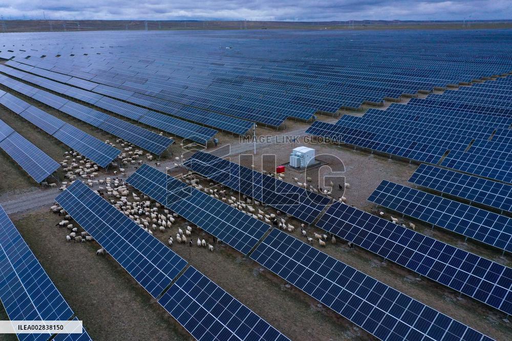 Xinhua Headlines: Solar power farms on plateau fuel China's green energy revolution