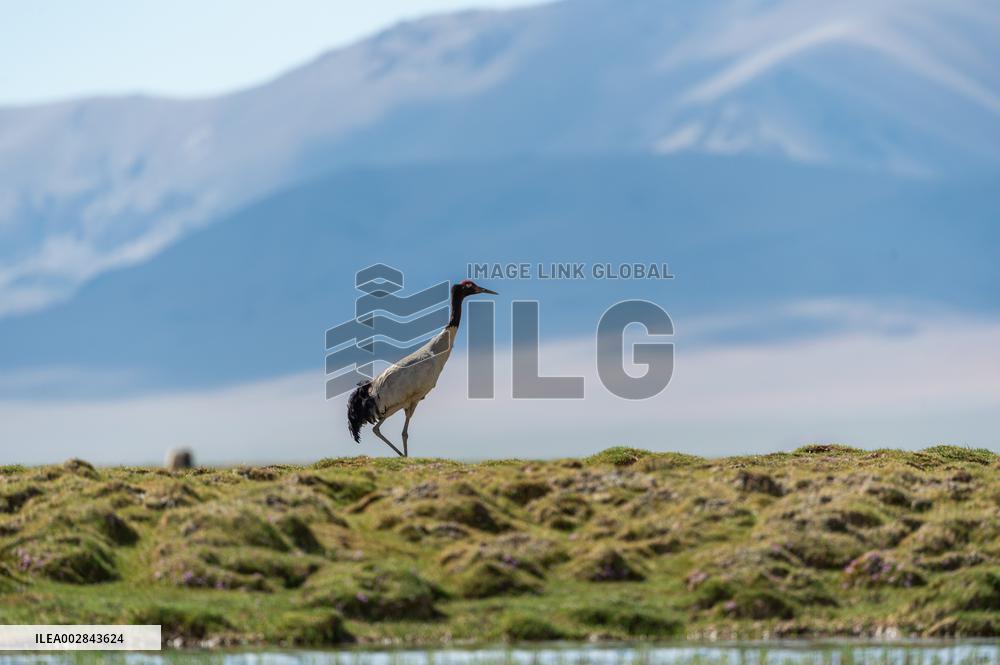 XINHUA PHOTOS OF THE DAY