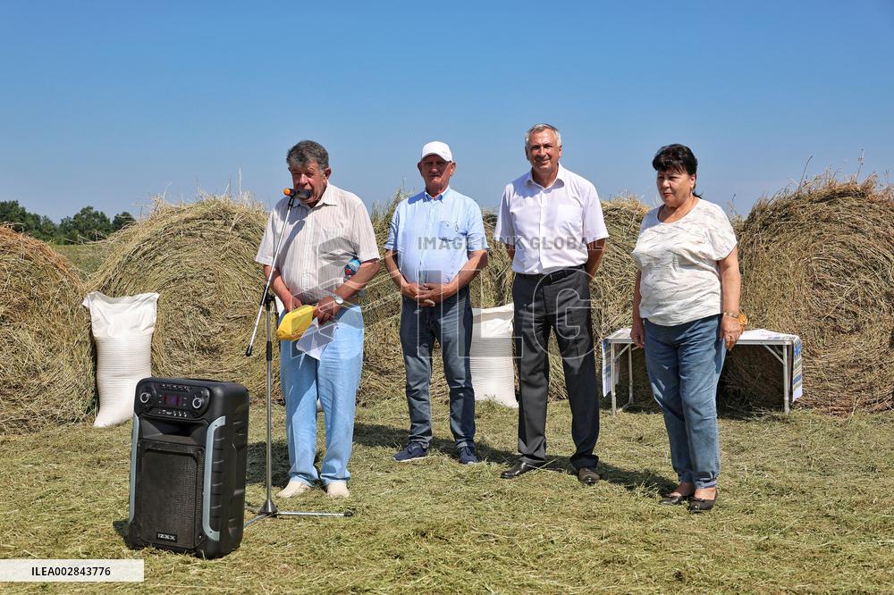 Wheat and barley grow in Odesa region