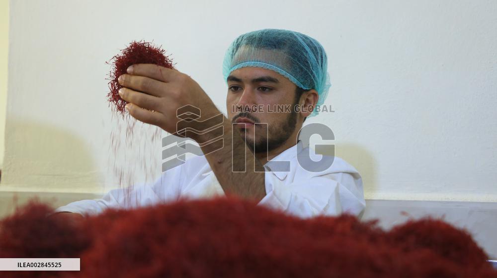 AFGHANISTAN-HERAT-SAFFRON