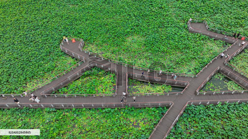 #(FOCUS) CHINA-DRAGON BOAT FESTIVAL-HOLIDAY-DOMESTIC TOURIST TRIPS (CN)