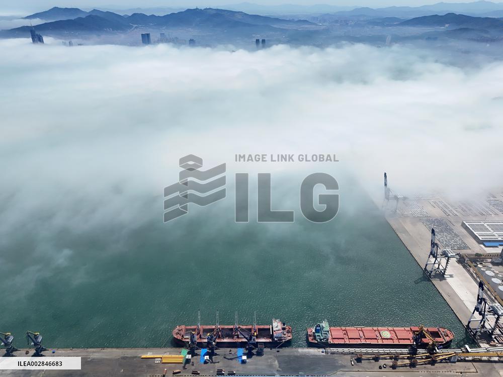 Advection Hit Yantai