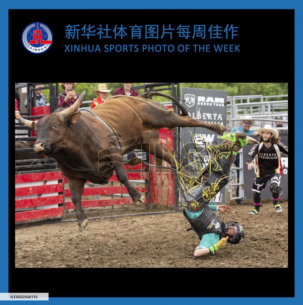 (SP)XINHUA SPORTS PHOTO OF THE WEEK